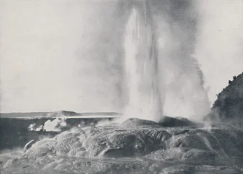 Geyser, Nouvelle-Zélande