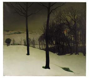 La forêt en hiver