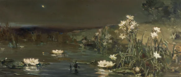 Étoile dans la nuit