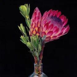 Vases Pink Protea