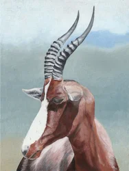 Portrait serein d