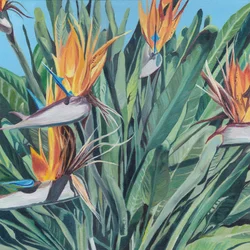 Oiseau de paradis aux couleurs vives