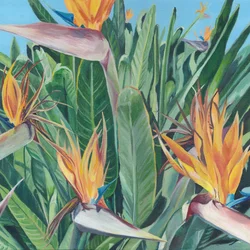 Oiseau de paradis aux couleurs éclatantes