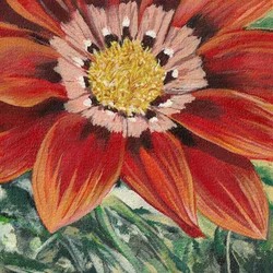 Fleur orange vif