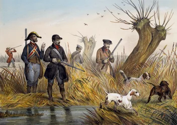 Chasse au canard