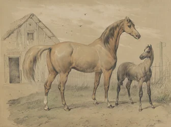 Jument et poulain, 19e siècle