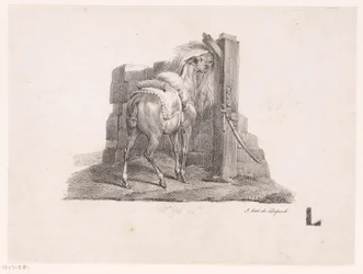 Étude d