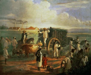 Le moulin de Cana