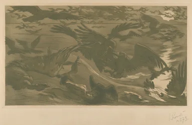 Oiseaux de proie