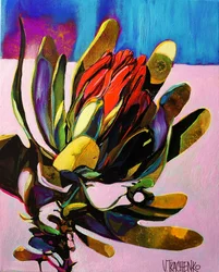 Abstrait coloré de protéa