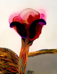Une floraison rouge spectaculaire