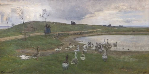 Oies près d