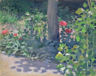 Étude de coquelicots dans le jardin, 1894