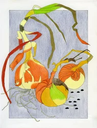 Nature morte aux oignons en germination