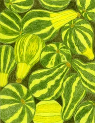 Courges rayées aux couleurs vives