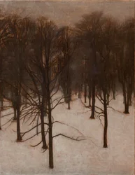 Parc de Sondermarken en hiver