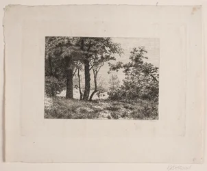 Chênes au bord d