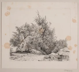 Une grande pierre roulante
