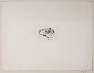 Tête de chien