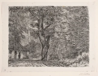 La maison dans la forêt