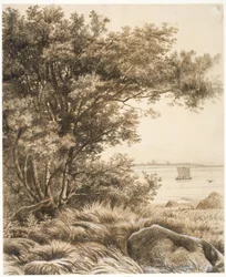 Paysage côtier avec de grands arbres. Motif du lac Esrum