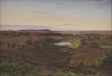 Paysage dans le nord de la Zélande. Après-midi