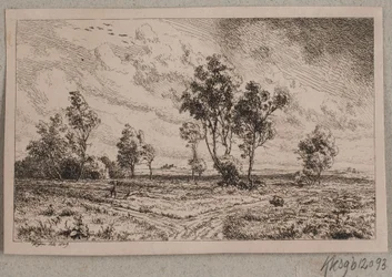Paysage par temps agité