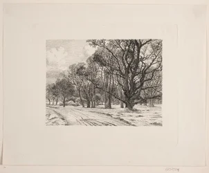Hiver dans la forêt