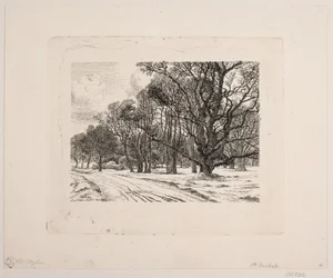 Hiver dans la forêt