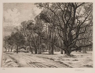 Hiver dans la forêt