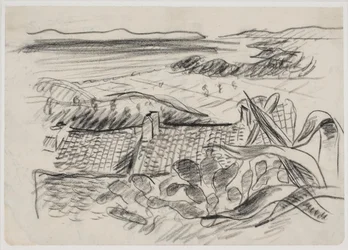 Paysage avec agave