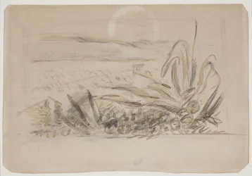 Paysage avec agave. Sud de la France