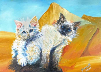 Chatons Monty et Baby, 2001