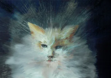 Monty fluffball, 2015