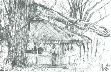 Bar extérieur, lac Naivasha