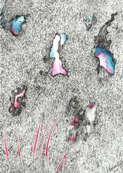 Têtes Pâles, 2017