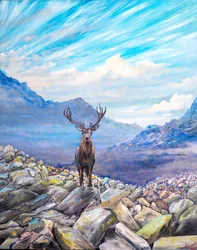 Cerf ! rencontre sur les rochers