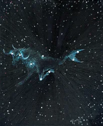 Signe astrologique Capricorne