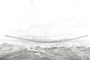 Créateurs de tempête Cape Leveque