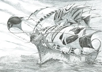 Créateurs de tempêtes, mer de Chiloé, 2018