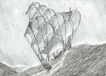 Créateurs de tempêtes Mer de Corail, 2017