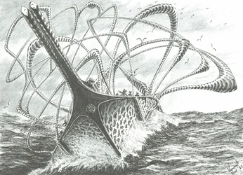 Créateurs de tempêtes Ise Wan, 2021