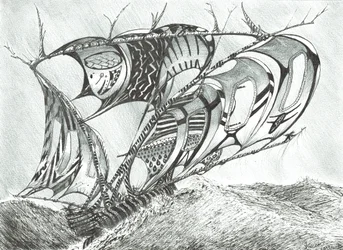 Créateurs de tempêtes Mer des Sargasses, 2017