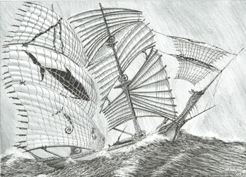 Créateurs de tempêtes Mer de Savu