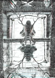 page15, Le Château dans la forêt de Findhorn, 2006