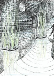 page29, Le château dans la forêt de Findhorn, 2006