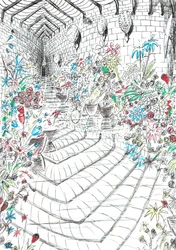 page37, Le château dans la forêt de Findhorn, 2006