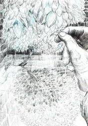 page43, Le château dans la forêt de Findhorn, 2006