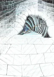 page45, Le château dans la forêt de Findhorn, 2006