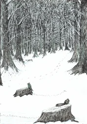 page5, Le Château dans la forêt de Findhorn, 2006